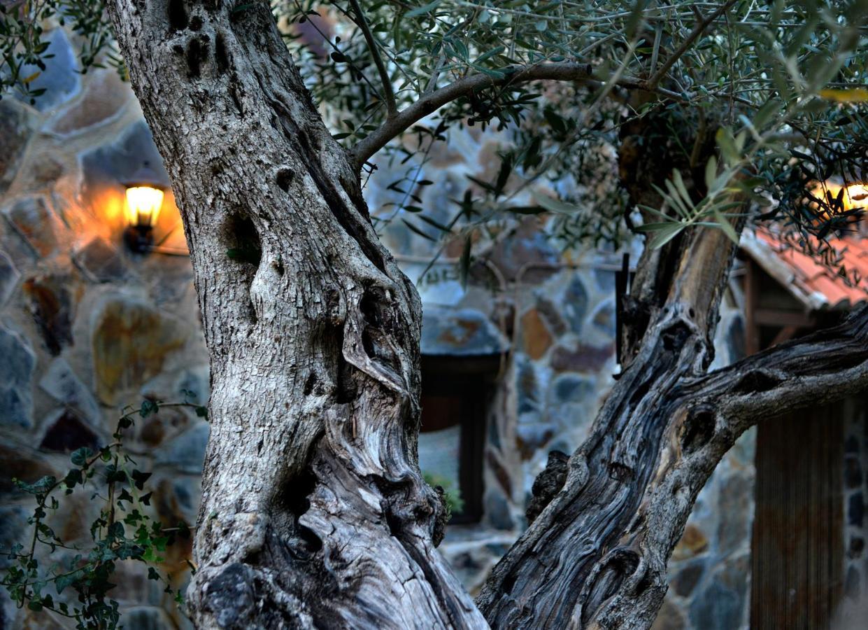 Maison d'hôtes La Casita De Leire à Tamajon Extérieur photo