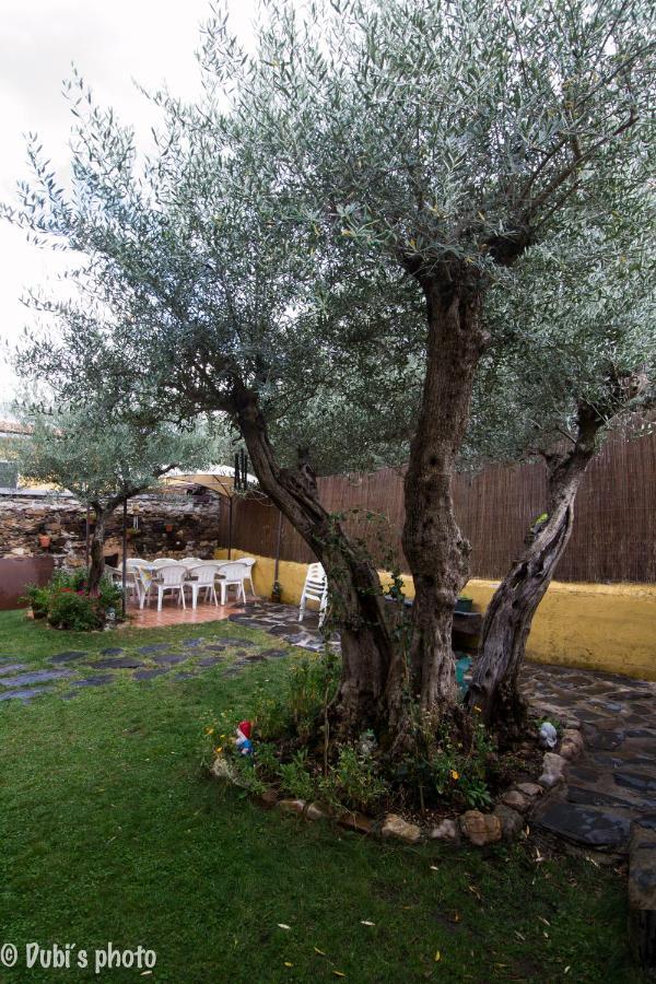 Maison d'hôtes La Casita De Leire à Tamajon Extérieur photo
