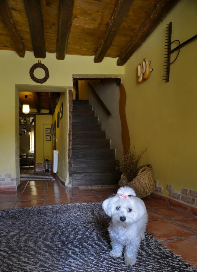 Maison d'hôtes La Casita De Leire à Tamajon Extérieur photo