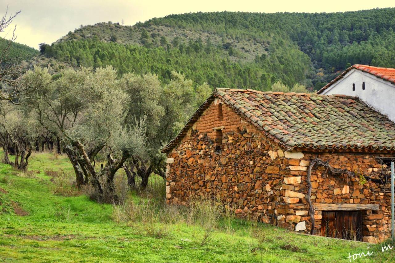 Maison d'hôtes La Casita De Leire à Tamajon Extérieur photo